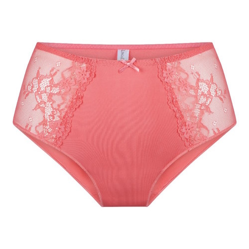 LingaDore Daily Maxi Slip spiced coral brief