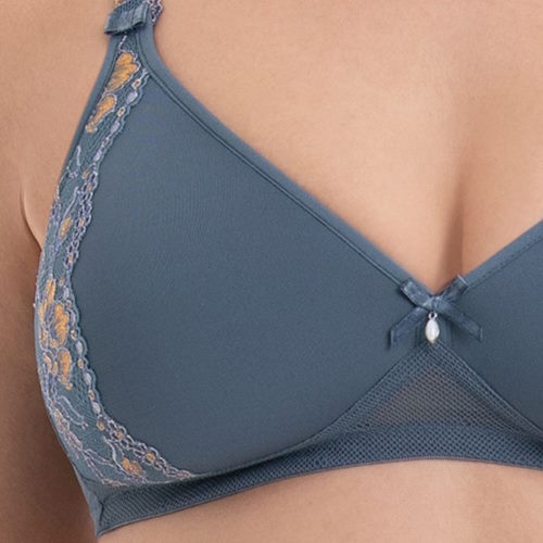 Rosa Faia Colette grey padded bra