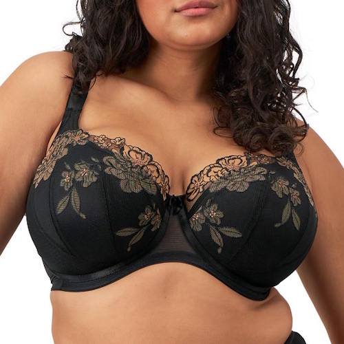 Elomi Teagan black padded bra