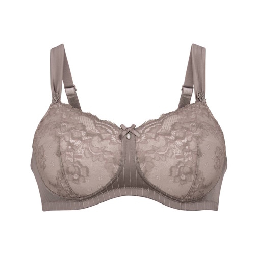 Anita Care Antonia grey prosthesis bra