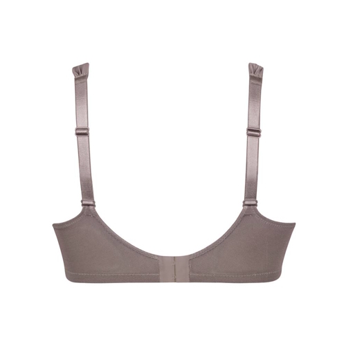 Anita Care Antonia grey prosthesis bra