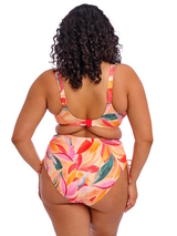 Elomi Swim Sancho Beach orange/pink bikini brief
