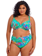 Elomi Swim Toyama Tides  padded bikini bra