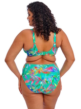 Elomi Swim Toyama Tides  padded bikini bra