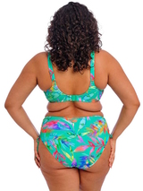 Elomi Swim Toyama Tides  padded bikini bra