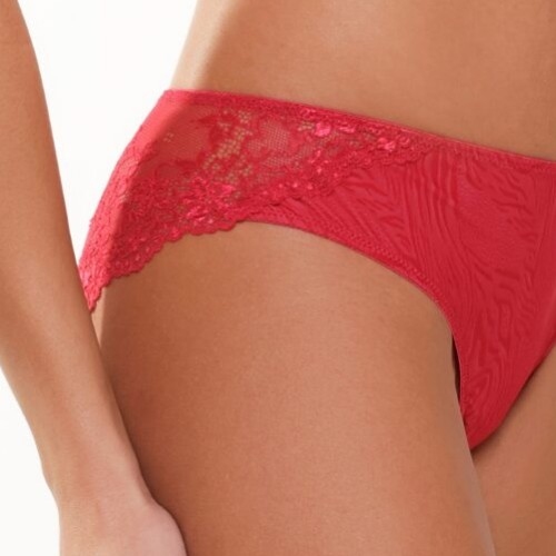 LingaDore Daily Basic  brief