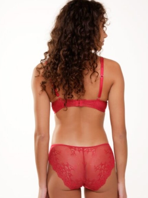 LingaDore Daily Basic  brief