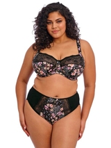 Elomi Morgan black/print padded bra