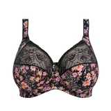 Elomi Morgan black/print padded bra