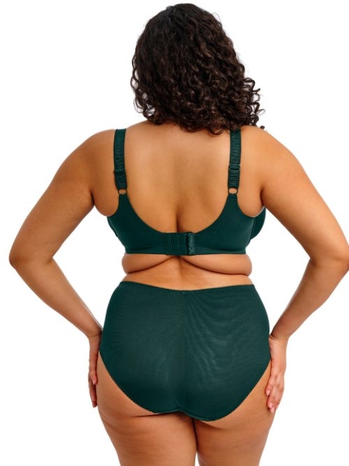 Elomi Cate Allure green non-padded bra