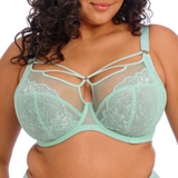 Elomi Brianna blue padded bra
