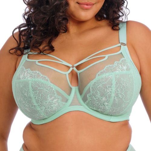Elomi Brianna blue padded bra