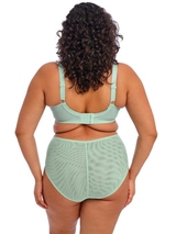 Elomi Brianna blue padded bra