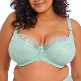 Elomi Brianna blue padded bra