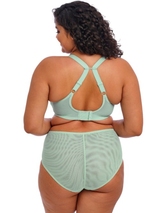 Elomi Brianna blue padded bra