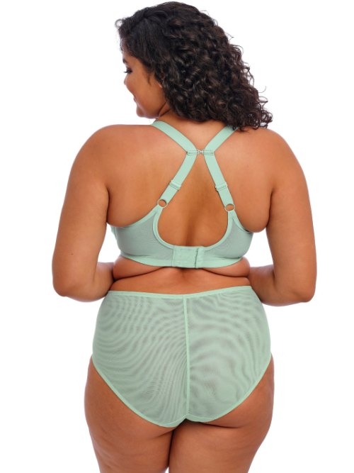 Elomi Brianna blue padded bra