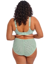 Elomi Brianna blue padded bra