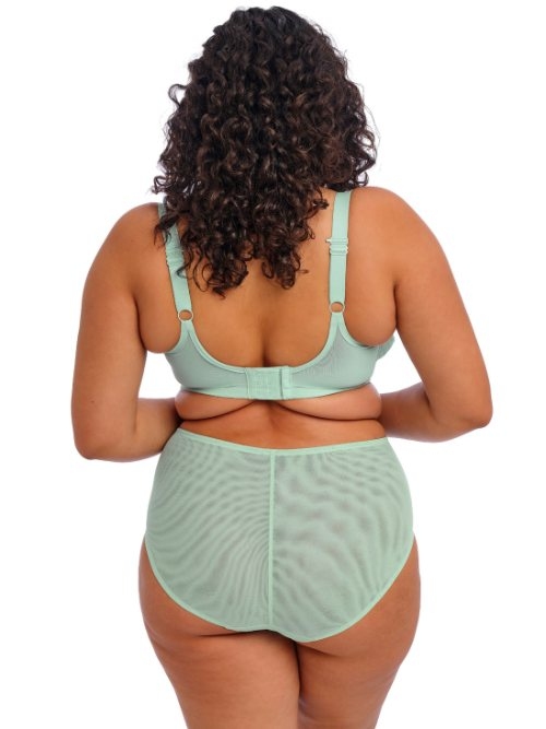 Elomi Brianna blue padded bra
