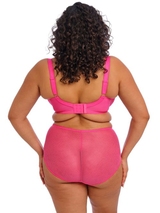 Elomi Charley pink padded bra
