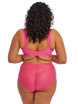 Elomi Charley pink brief