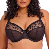 Elomi Charley black padded bra