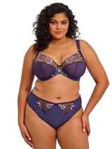 Elomi Himari navy blue brief