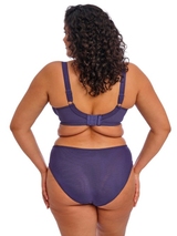 Elomi Himari navy blue brief