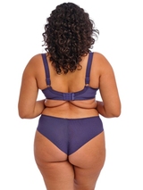 Elomi Himari navy blue brief