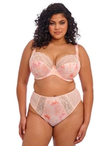 Elomi Lucie pink padded bra