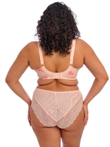 Elomi Lucie pink padded bra