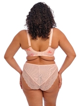 Elomi Lucie pink brief