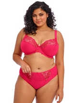 Elomi Teagan fuchsia padded bra