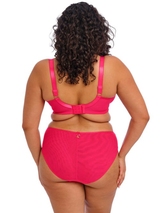Elomi Teagan fuchsia padded bra