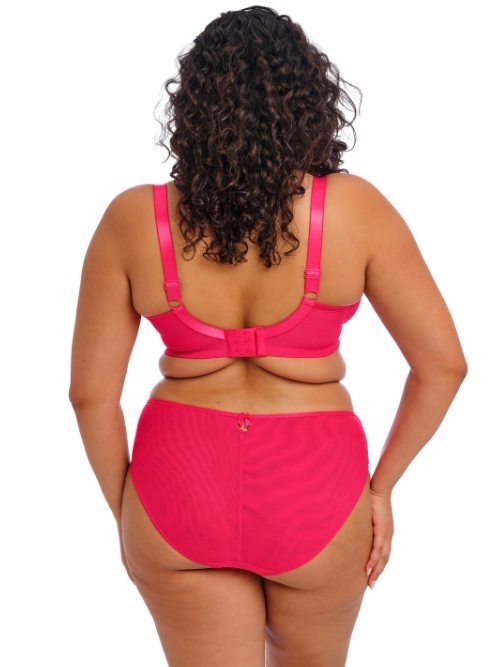 Elomi Teagan fuchsia padded bra
