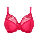 Elomi Teagan fuchsia padded bra