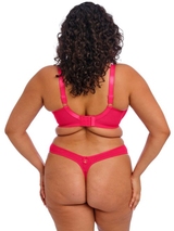 Elomi Teagan fuchsia padded bra