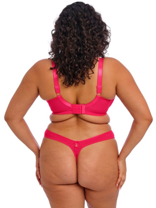 Elomi Teagan fuchsia padded bra