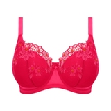 Elomi Teagan fuchsia padded bra