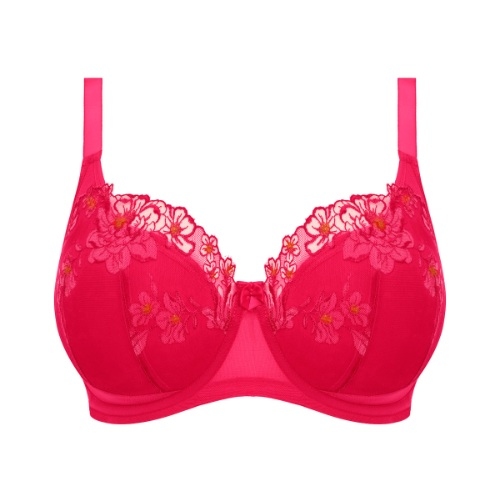 Elomi Teagan fuchsia padded bra