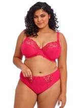 Elomi Teagan fuchsia brief