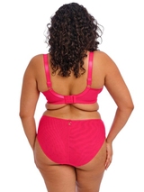 Elomi Teagan fuchsia brief