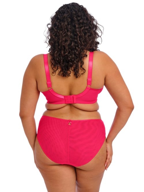 Elomi Teagan fuchsia brief