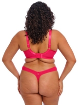 Elomi Teagan fuchsia thong