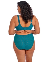 Elomi Zarla aqua brief
