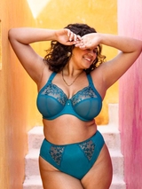 Elomi Zarla aqua brief