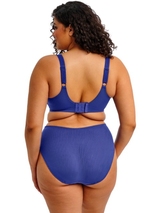 Elomi Zarla blue padded bra