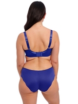 Fantasy Lingerie Ana blue padded bra