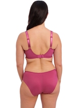 Fantasy Lingerie Envisage magenta padded bra