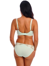 Wacoal Lingerie Most Divine green padded bra