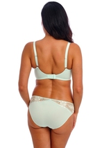 Wacoal Lingerie Most Divine green brief